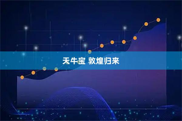 天牛宝 敦煌归来