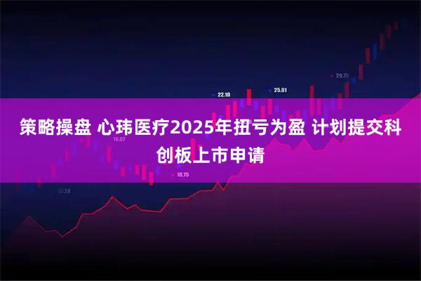 策略操盘 心玮医疗2025年扭亏为盈 计划提交科创板上市申请