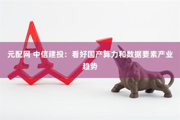 元配网 中信建投：看好国产算力和数据要素产业趋势