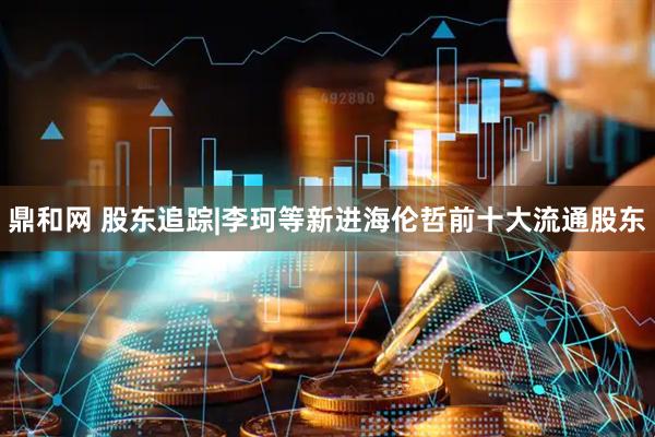 鼎和网 股东追踪|李珂等新进海伦哲前十大流通股东