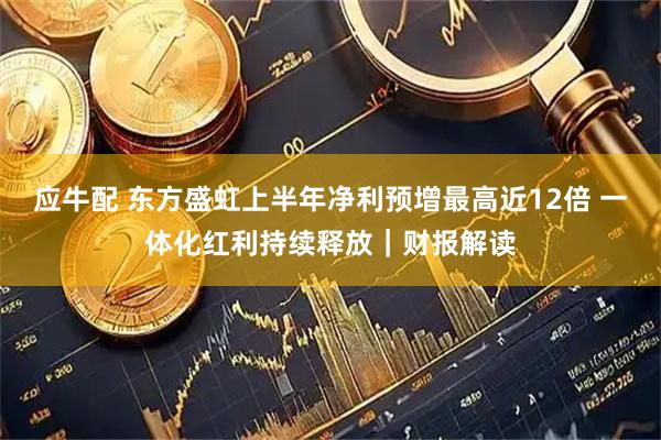 应牛配 东方盛虹上半年净利预增最高近12倍 一体化红利持续释放｜财报解读