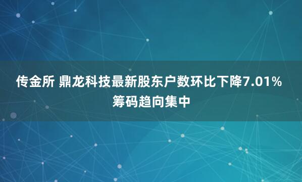 传金所 鼎龙科技最新股东户数环比下降7.01% 筹码趋向集中