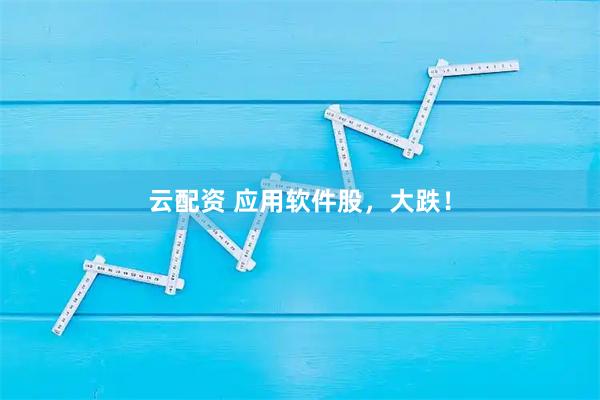 云配资 应用软件股，大跌！