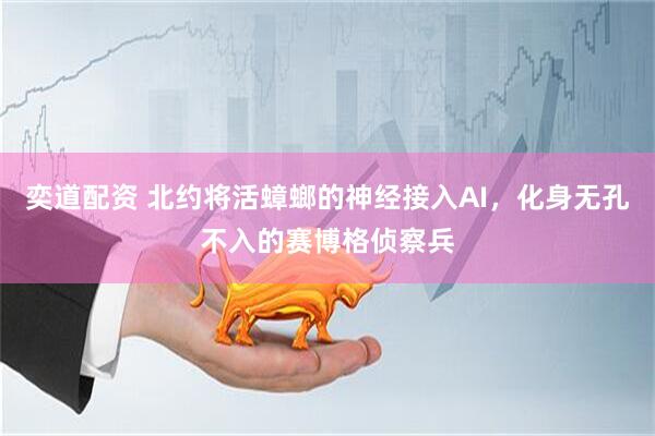 奕道配资 北约将活蟑螂的神经接入AI，化身无孔不入的赛博格侦察兵