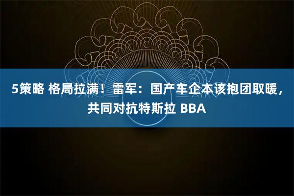 5策略 格局拉满!雷军:国产车企本该抱团取暖,共同对抗特斯拉 BBA