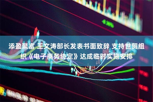 添盈聚富 王文涛部长发表书面致辞 支持世贸组织《电子商务协定》达成临时实施安排