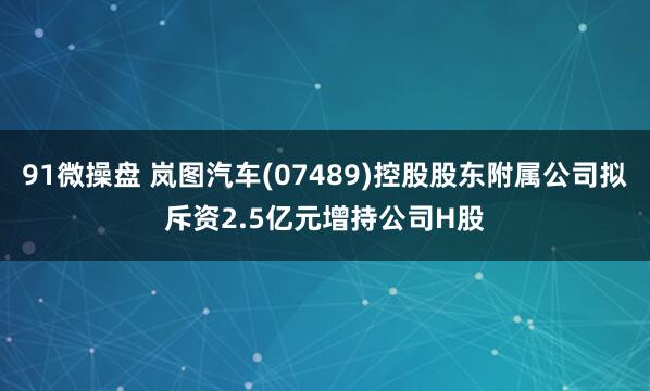 91微操盘 岚图汽车(07489)控股股东附属公司拟斥资2.5亿元增持公司H股