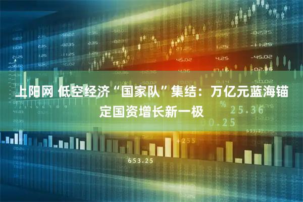 上阳网 低空经济“国家队”集结：万亿元蓝海锚定国资增长新一极