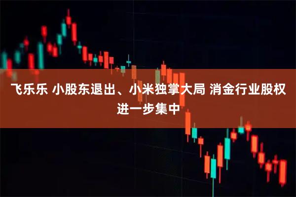 飞乐乐 小股东退出、小米独掌大局 消金行业股权进一步集中