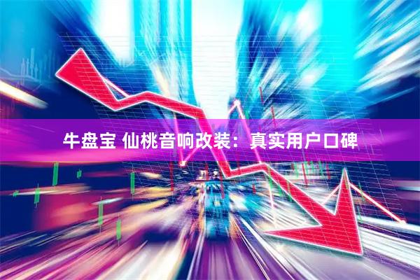 牛盘宝 仙桃音响改装：真实用户口碑