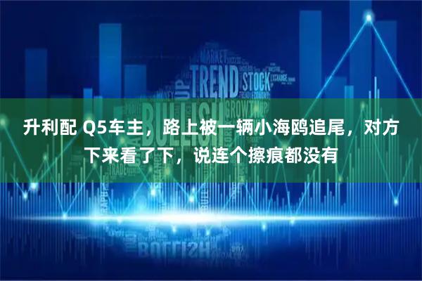 升利配 Q5车主，路上被一辆小海鸥追尾，对方下来看了下，说连个擦痕都没有