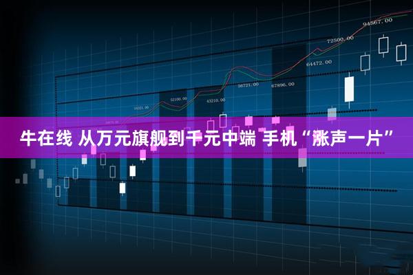 牛在线 从万元旗舰到千元中端 手机“涨声一片”
